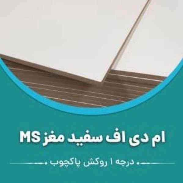 MDF الدماغ الأبيض مللي