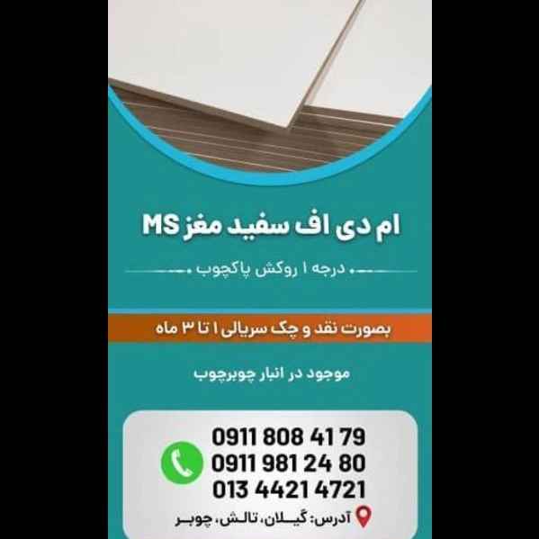 1703311852808.webp