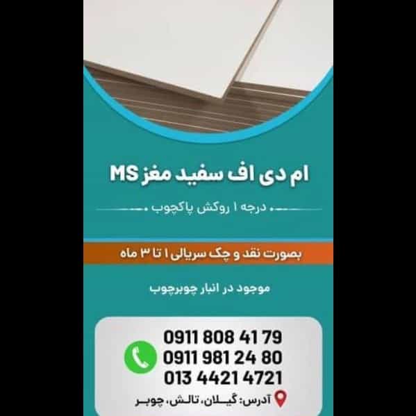 1703311852808.webp