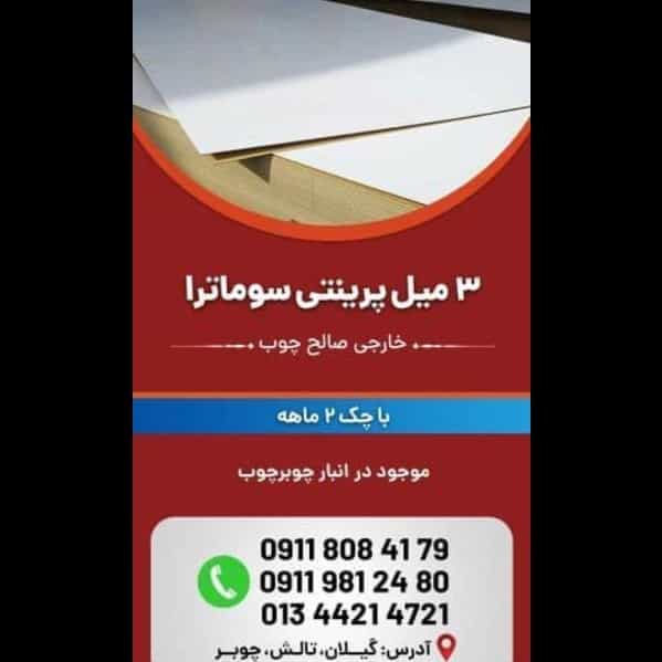 1703312067239.webp