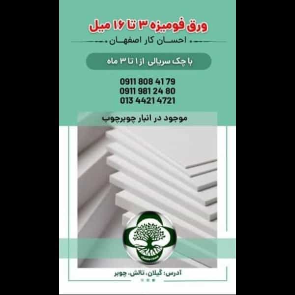 1703311180911.webp