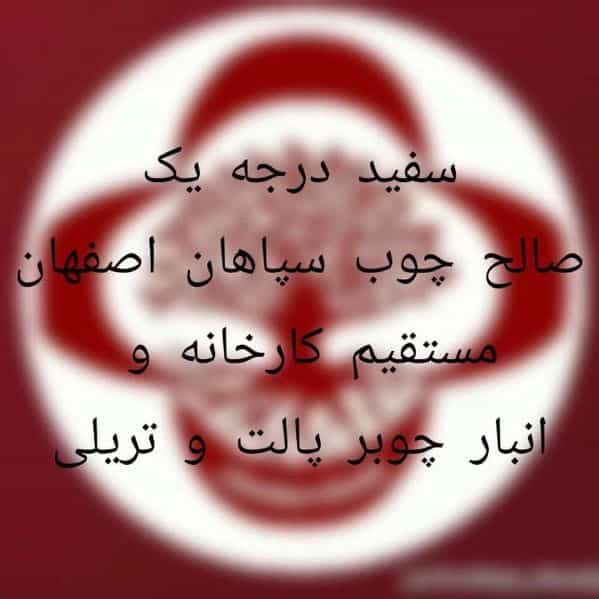 1703315001858.webp