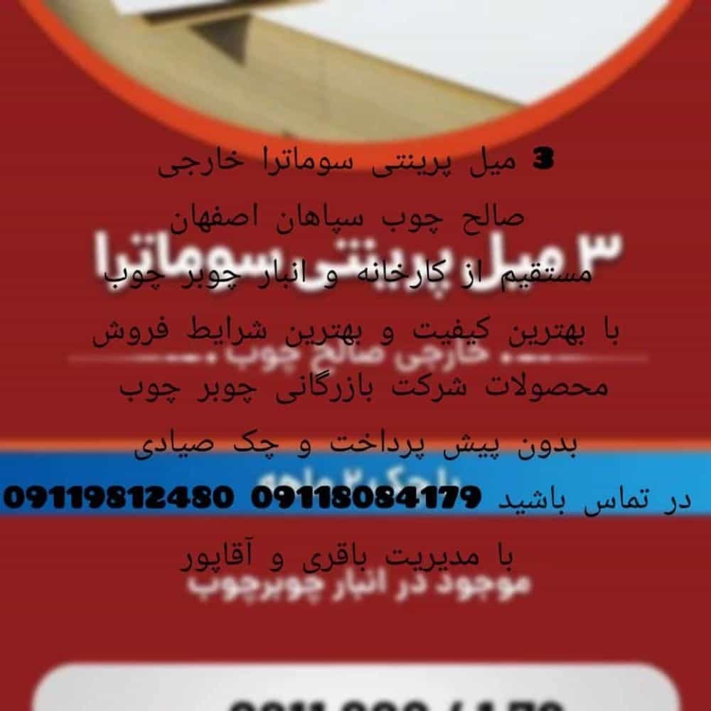 1733555484617.webp