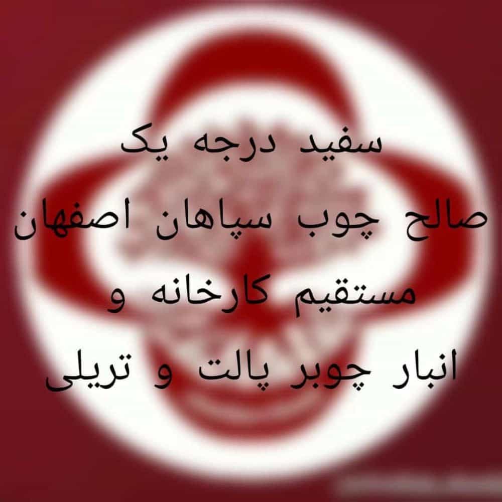 1733559744627.webp