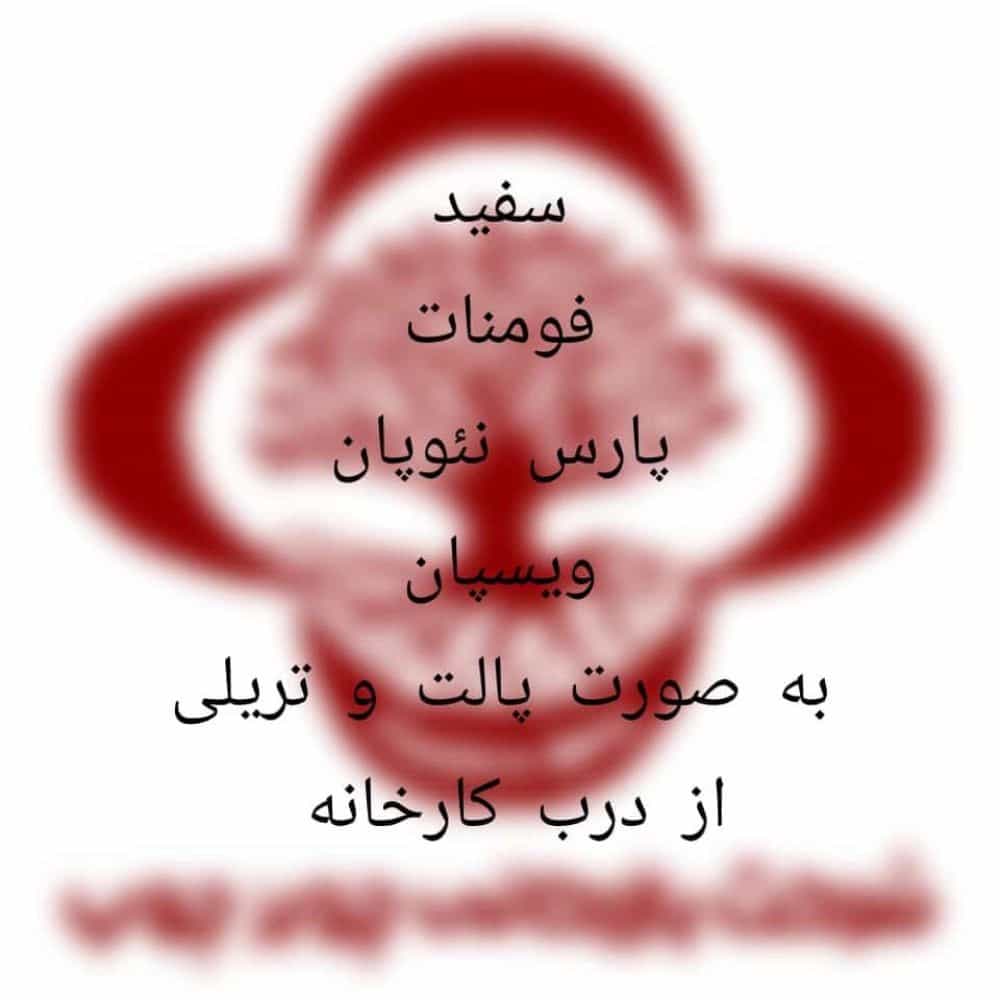 1733559771528.webp