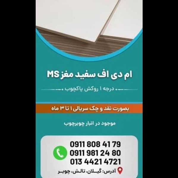 1703311852808.webp