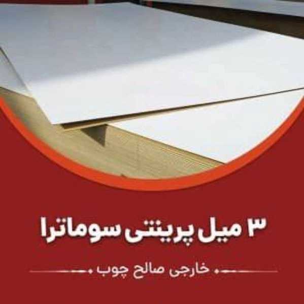 1703312065084.webp