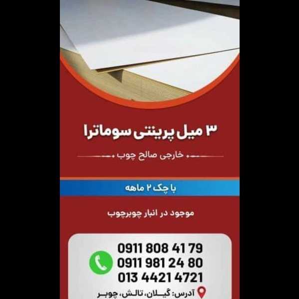 1703312067239.webp